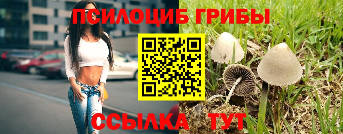 Псилоцибиновые грибы Magic Shrooms Сибай