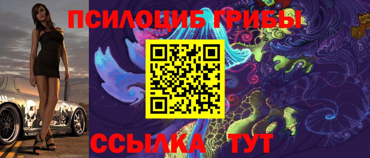 Псилоцибиновые грибы Magic Shrooms  Псилоцибиновые грибы Cubensis  Вход с VPN  Сибай 